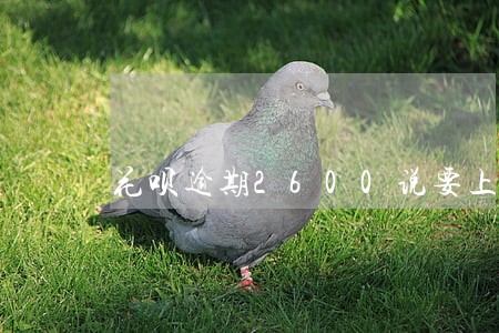 花呗逾期2600说要上门取证 花呗逾期2600说要上门取证