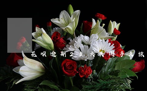 花呗逾期28天关闭多久恢复 花呗逾期28天关闭多久恢复