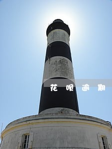 花呗逾期28天恢复