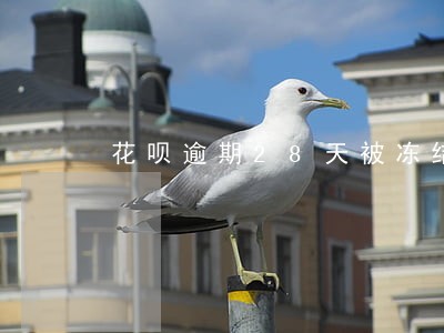 花呗逾期28天被冻结 花呗逾期28天被冻结