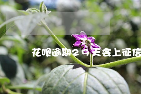 花呗逾期29天会上征信吗 花呗逾期29天会上征信吗
