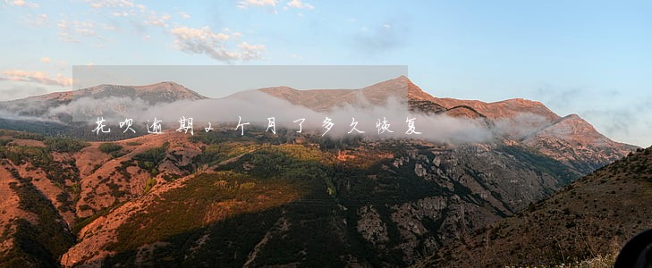 花呗逾期2个月了多久恢复 花呗逾期2个月了多久恢复