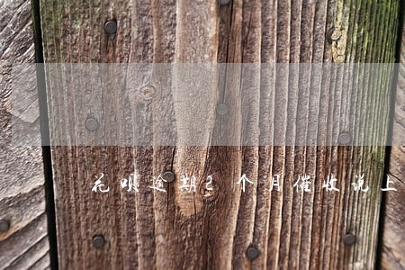 花呗逾期2个月催收说上门