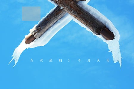 花呗逾期2个月关闭了 花呗逾期2个月关闭了