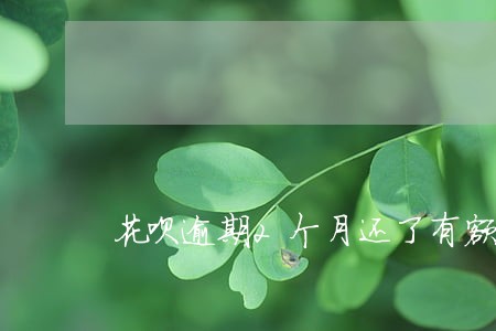 花呗逾期2个月还了有额度吗
