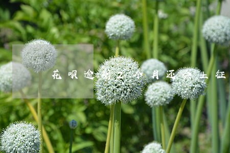 花呗逾期2个月还会上征信吗 花呗逾期2个月还会上征信吗