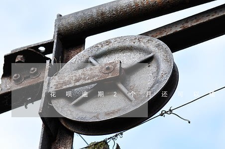 花呗逾期2个月还可以借款吗 花呗逾期2个月还可以借款吗