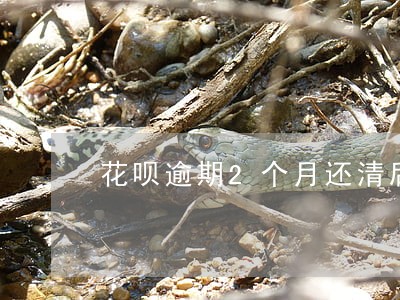 花呗逾期2个月还清后多久能使用 花呗逾期2个月还清后多久能使用