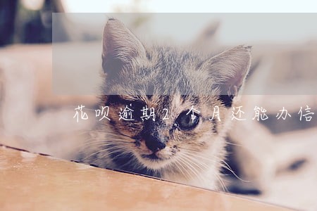 花呗逾期2个月还能办信用卡吗