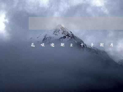 花呗逾期2千多图片 花呗逾期2千多图片