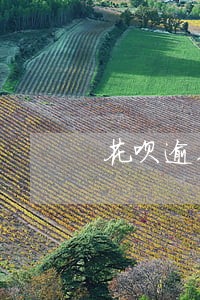 花呗逾期2天会停用吗 花呗逾期2天会停用吗