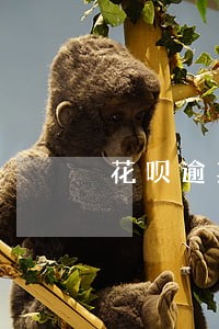 花呗逾期2天会怎么样 花呗逾期2天会怎么样