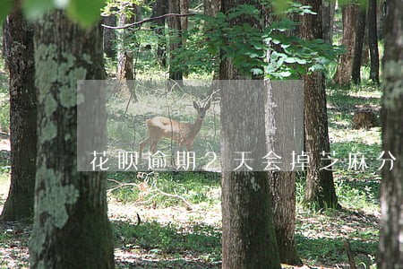 花呗逾期2天会掉芝麻分吗 花呗逾期2天会掉芝麻分吗