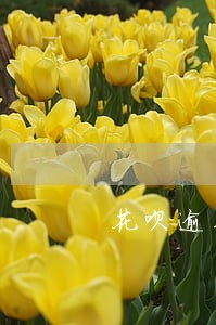 花呗逾期2天会联系家人吗 花呗逾期2天会联系家人吗