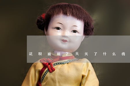 花呗逾期2天关了什么情况