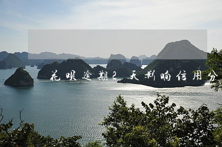 花呗逾期2天影响信用分嘛