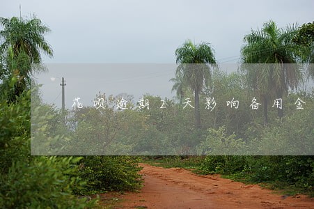 花呗逾期2天影响备用金吗 花呗逾期2天影响备用金吗