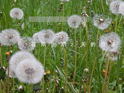 花呗逾期2天的后果 花呗逾期2天的后果