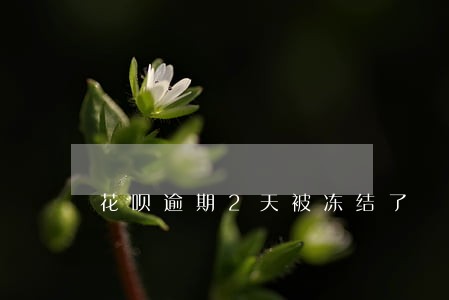 花呗逾期2天被冻结了 花呗逾期2天被冻结了