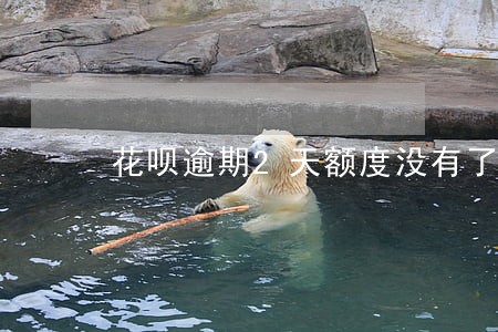 花呗逾期2天额度没有了怎么办 花呗逾期2天额度没有了怎么办