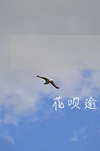 花呗逾期2小时 花呗逾期2小时