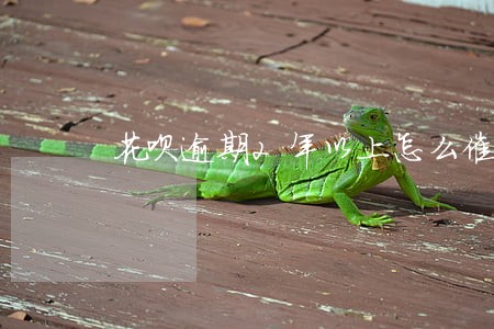 花呗逾期2年以上怎么催收 花呗逾期2年以上怎么催收