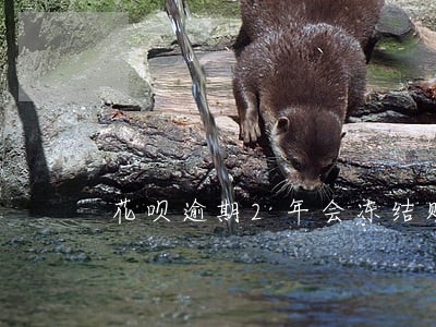 花呗逾期2年会冻结财产吗 花呗逾期2年会冻结财产吗