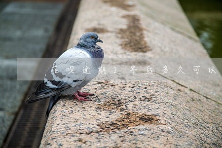 花呗逾期2年后多久可以恢复使用 花呗逾期2年后多久可以恢复使用