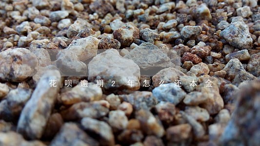 花呗逾期2年怎么还本金 花呗逾期2年怎么还本金