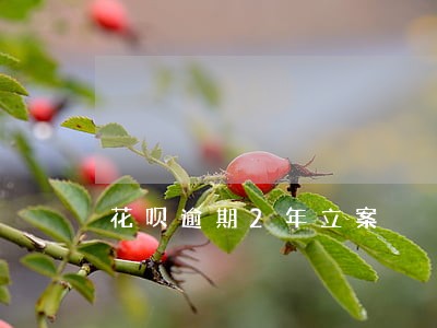 花呗逾期2年立案 花呗逾期2年立案