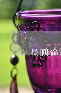 花呗逾期2年能不能还本金 花呗逾期2年能不能还本金