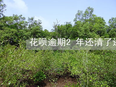 花呗逾期2年还清了还能再用吗 花呗逾期2年还清了还能再用吗