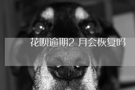 花呗逾期2月会恢复吗 花呗逾期2月会恢复吗