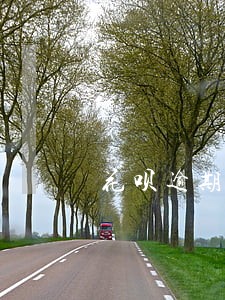 花呗逾期2月后还清了还能用吗 花呗逾期2月后还清了还能用吗