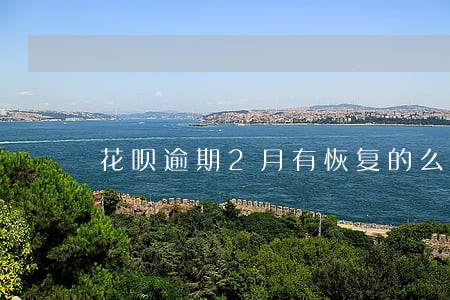 花呗逾期2月有恢复的么 花呗逾期2月有恢复的么