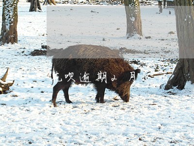 花呗逾期2月还清 花呗逾期2月还清