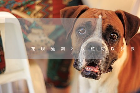 花呗逾期2次还可以贷款吗 花呗逾期2次还可以贷款吗
