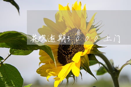 花呗逾期3000上门
