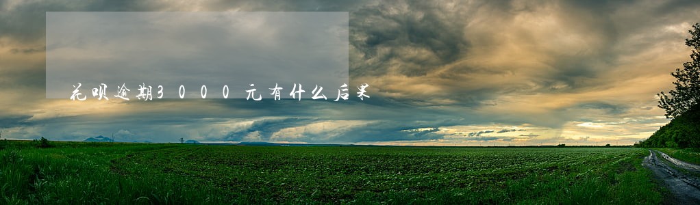花呗逾期3000元有什么后果 花呗逾期3000元有什么后果