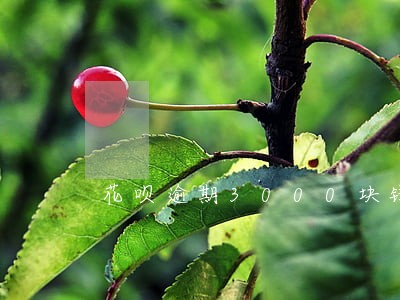 花呗逾期3000块钱半年 花呗逾期3000块钱半年