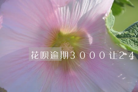花呗逾期3000让24小时还 花呗逾期3000让24小时还