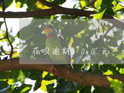 花呗逾期300元一个月 花呗逾期300元一个月
