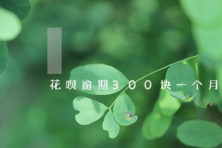 花呗逾期300块一个月 花呗逾期300块一个月