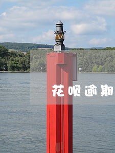 花呗逾期300块钱图片 花呗逾期300块钱图片