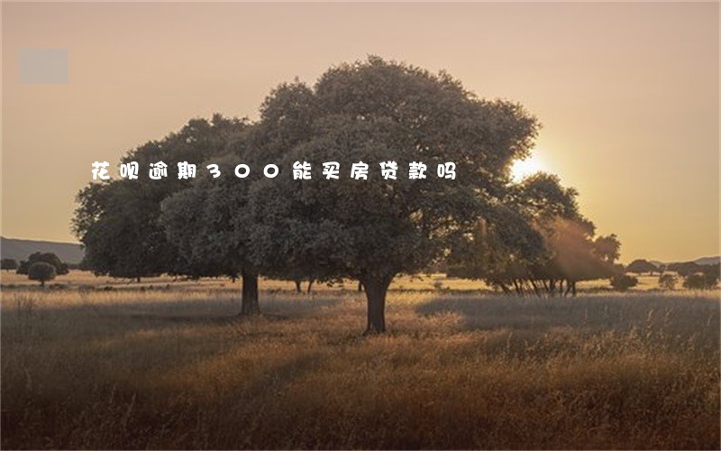 花呗逾期300能买房贷款吗 花呗逾期300能买房贷款吗