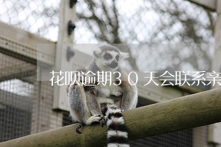 花呗逾期30天会联系亲友吗 花呗逾期30天会联系亲友吗