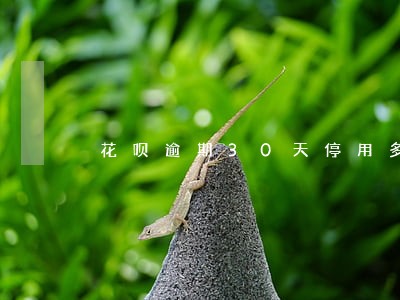 花呗逾期30天停用多久恢复 花呗逾期30天停用多久恢复