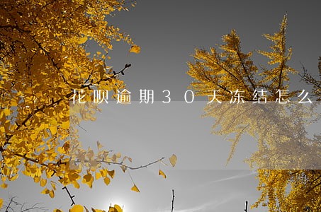 花呗逾期30天冻结怎么办 花呗逾期30天冻结怎么办