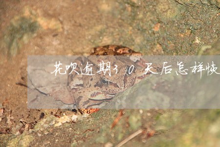 花呗逾期30天后怎样恢复 花呗逾期30天后怎样恢复