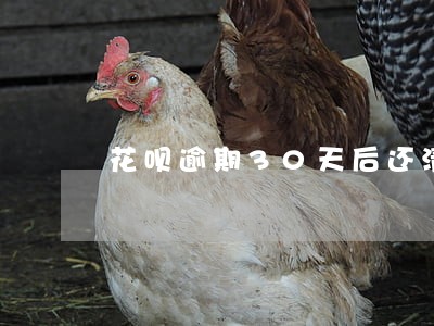 花呗逾期30天后还清可以用